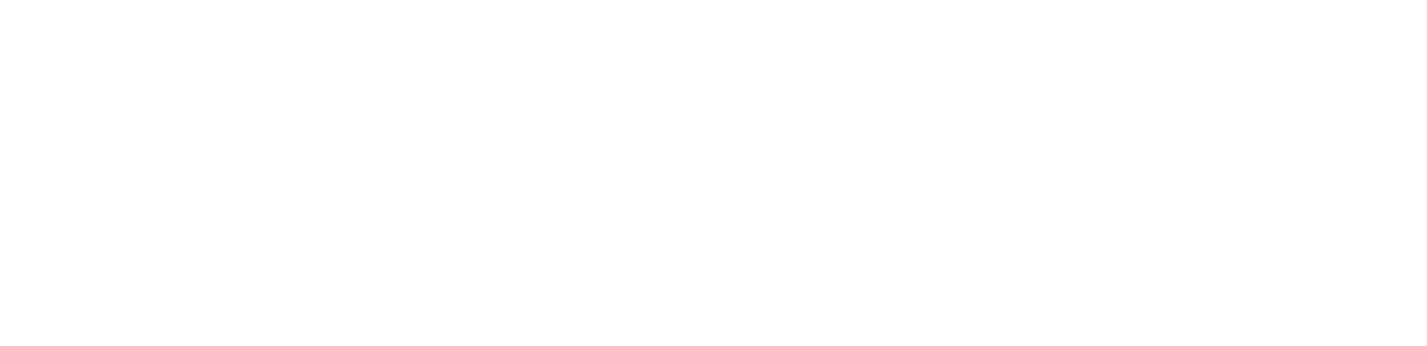ALTAC INTERNATIONAL RZBI